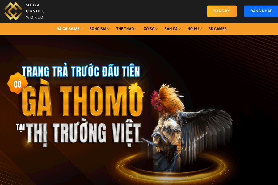 Xem đá gà Thomo trực tiếp ở đâu?