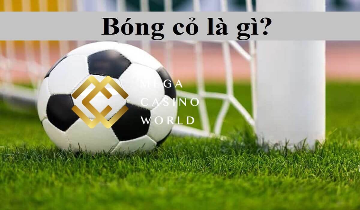 Bóng cỏ là gì? Kinh nghiệm chơi bóng cỏ