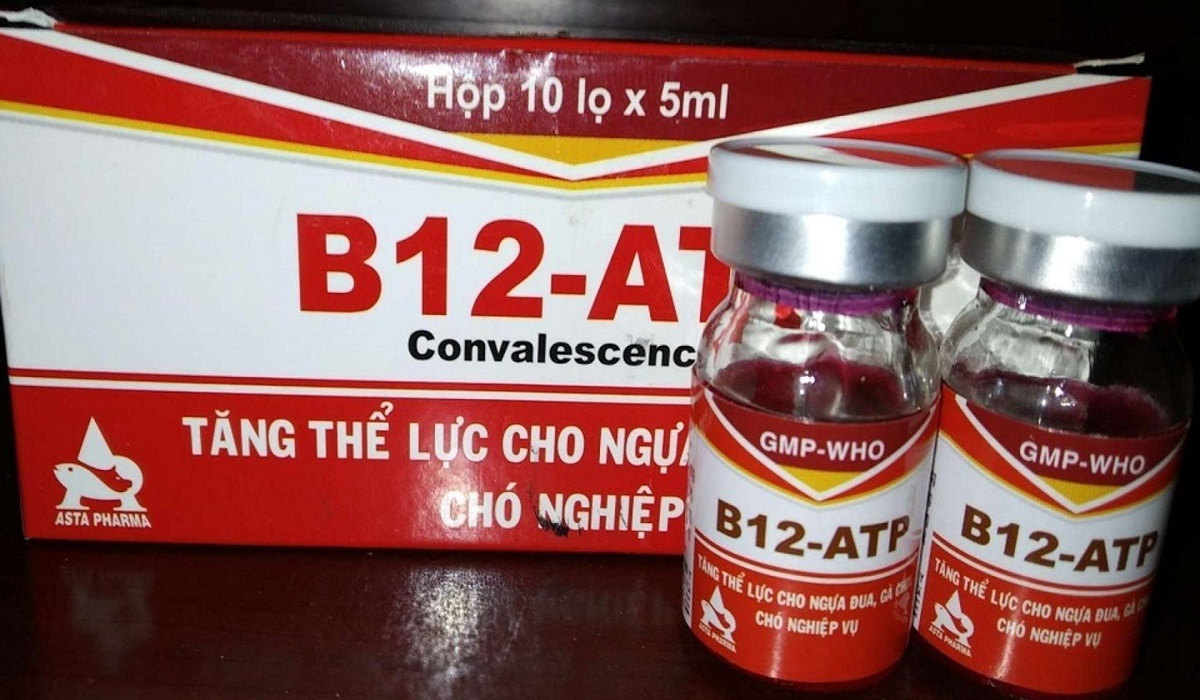 Thuốc phục hồi cho gà đá